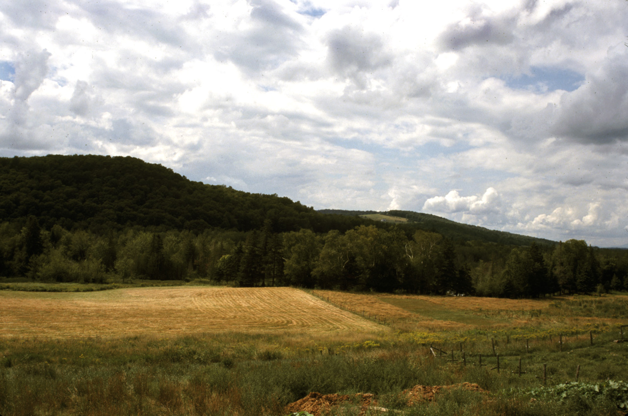 01-08-19, 024, Road side in Vermont