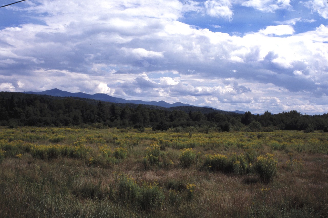 01-08-19, 025, Road side in Vermont