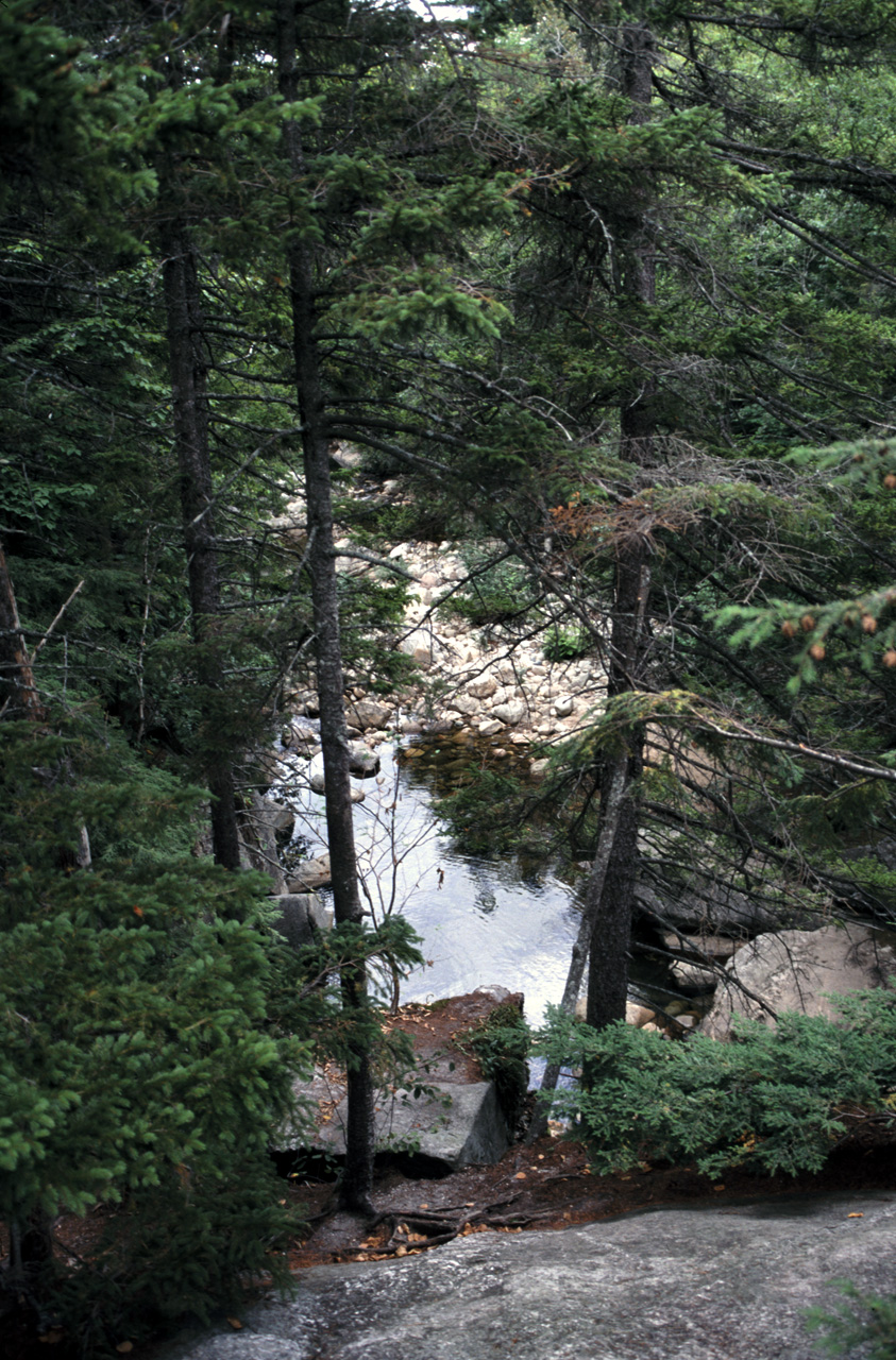 01-08-19, 035, Basen park in Maine