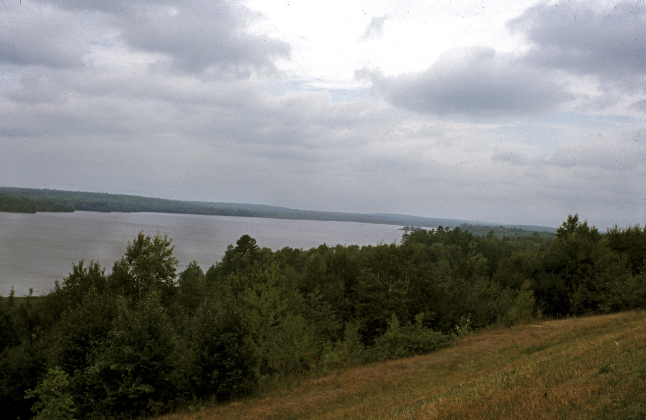 01-08-19, 041, Road side view in Maine