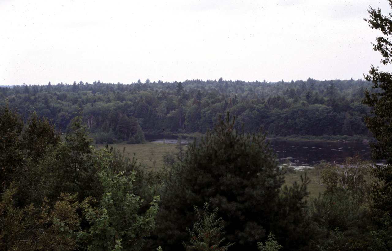 01-08-19, 042, Road side view in Maine