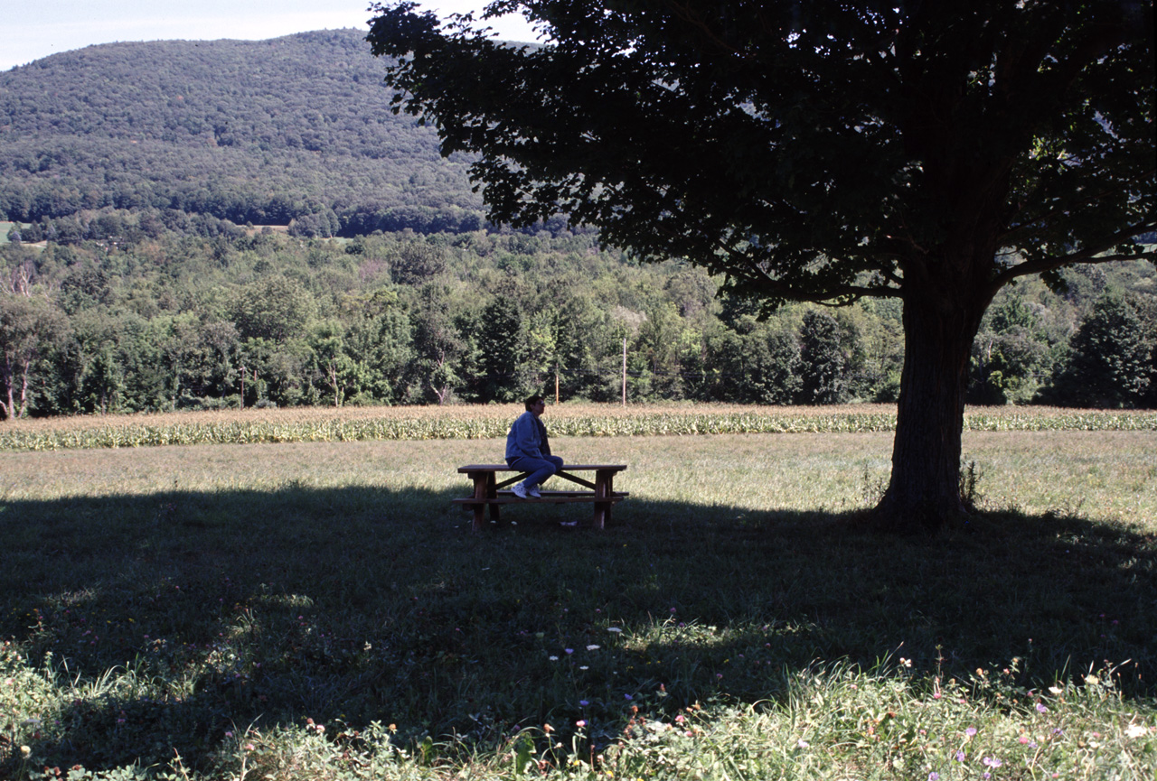 02-08-21, 04, Road Side Park, NH