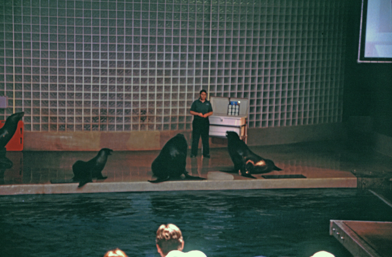 04-05-30, 12, Mystic Sea Port Aquarium, CT