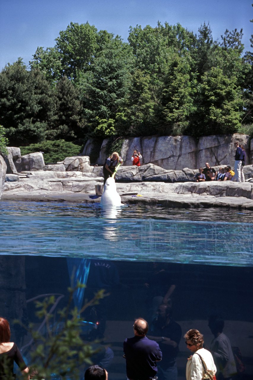 04-05-30, 14, Mystic Sea Port Aquarium, CT