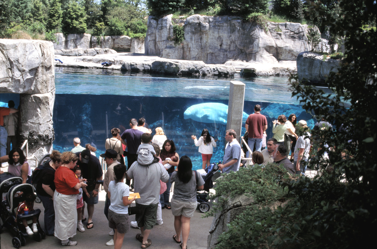 04-05-30, 18, Mystic Sea Port Aquarium, CT