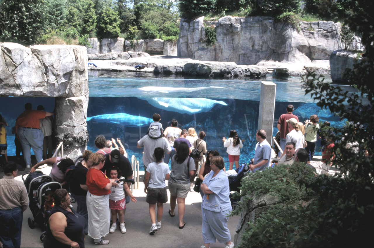 04-05-30, 19, Mystic Sea Port Aquarium, CT