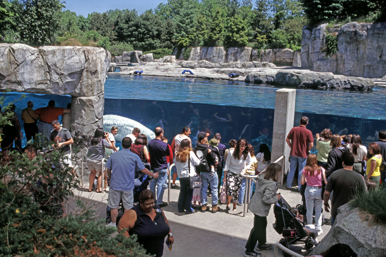 04-05-30, 20, Mystic Sea Port Aquarium, CT