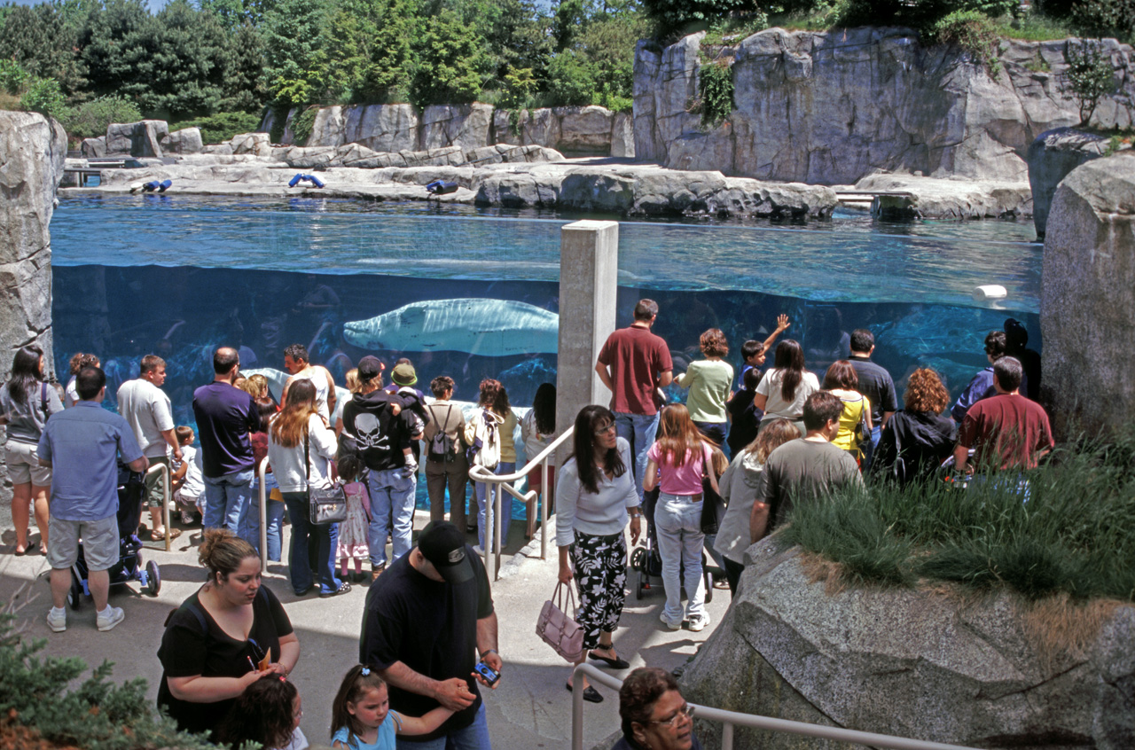 04-05-30, 21, Mystic Sea Port Aquarium, CT