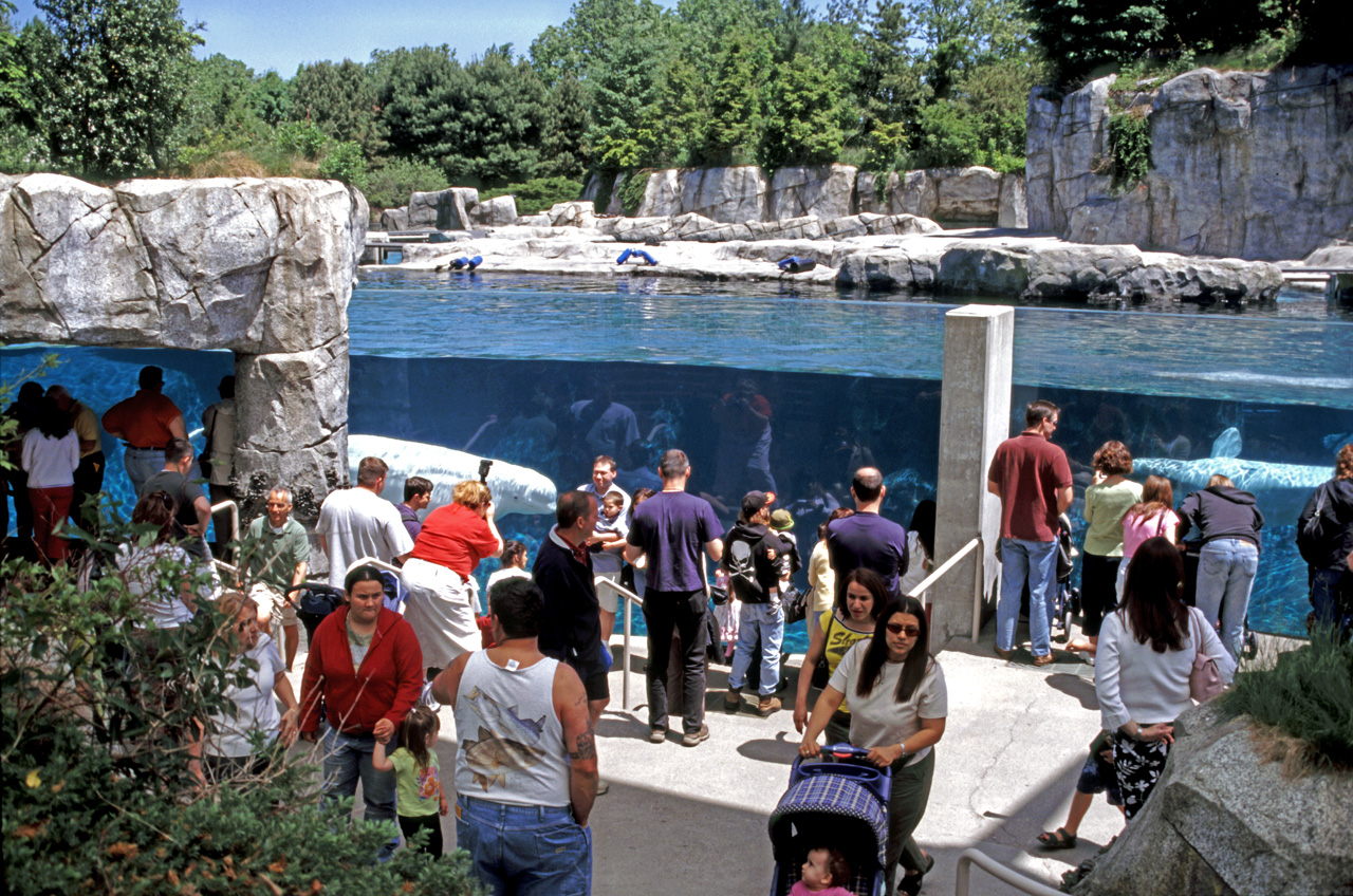 04-05-30, 22, Mystic Sea Port Aquarium, CT