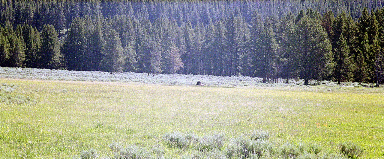 04-07-14, 04, Yellowstone National Park, WY