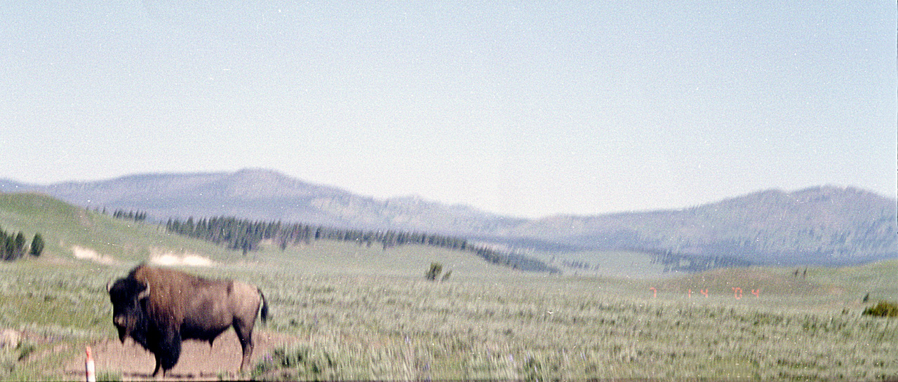 04-07-14, 05, Yellowstone National Park, WY