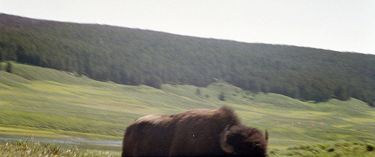 04-07-14, 06, Yellowstone National Park, WY