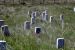 04-07-13, 06, Little Bighorn Battlefield, MT