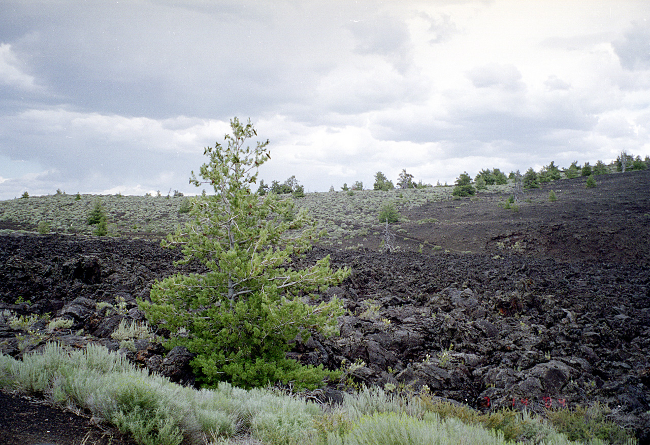 04-07-14, 30, Craters of the Moon, ID