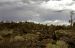 04-07-14, 21, Craters of the Moon, ID