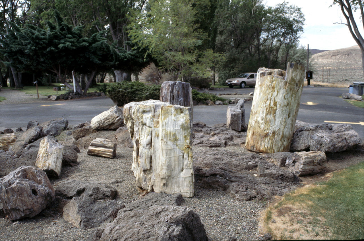 04-07-18, 02, Ginkgo State Park, WA