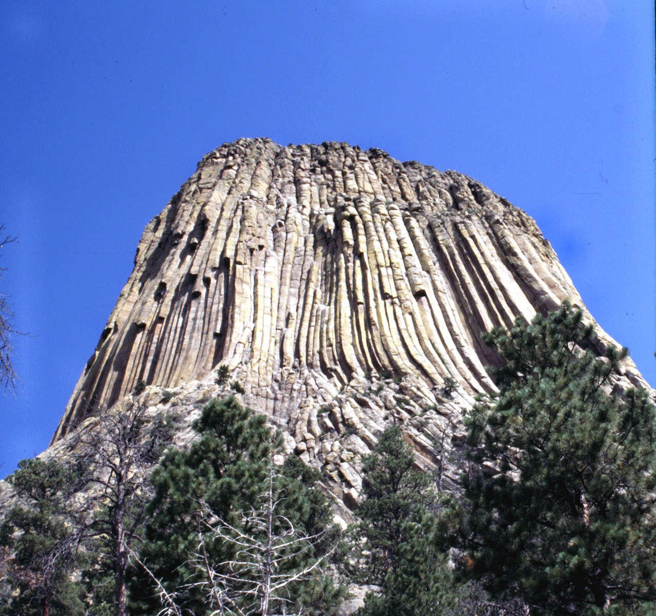 04-07-20, 14, Devils Tower National Monument. WY