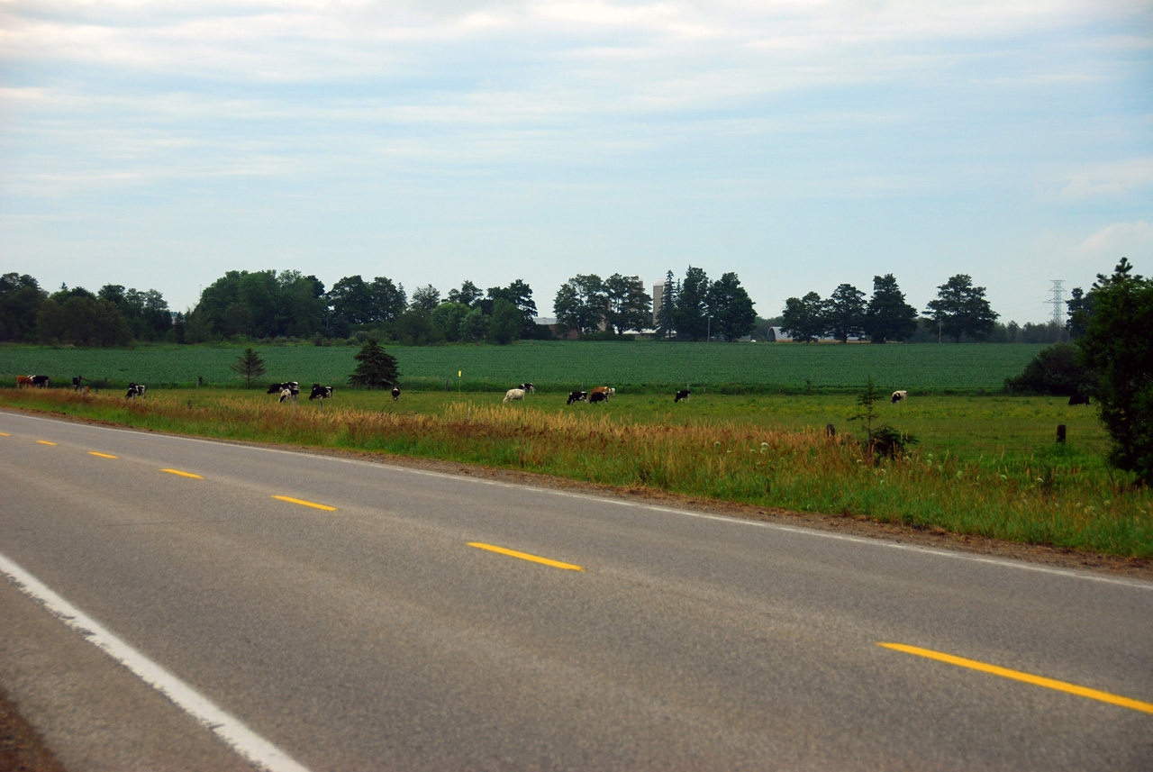 2008-07-13, 007, Farm off Hwy, Ontario