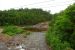 2008-07-14, 025, Chippewa Falls, Batchawana, Ontario