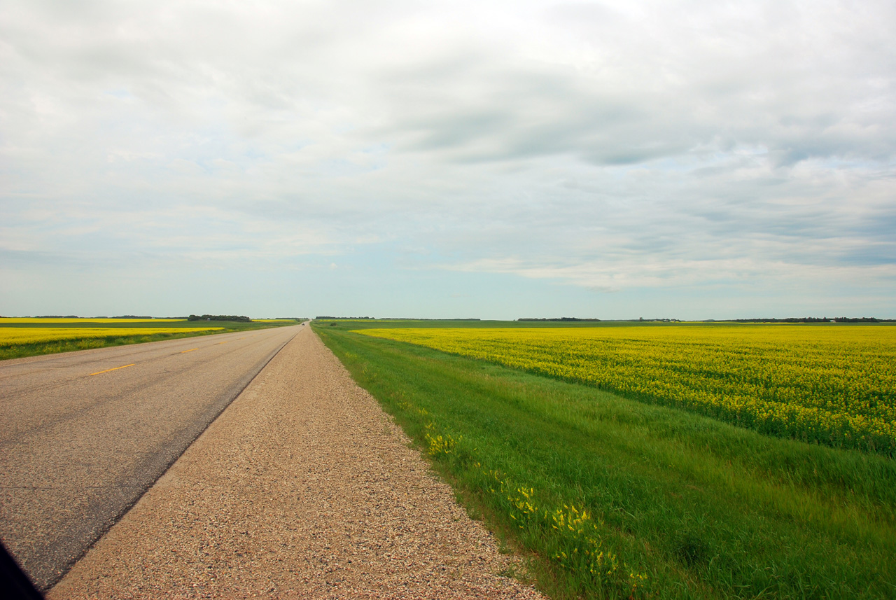 2008-07-16, 070, Canola Oil Fields, Manitoba