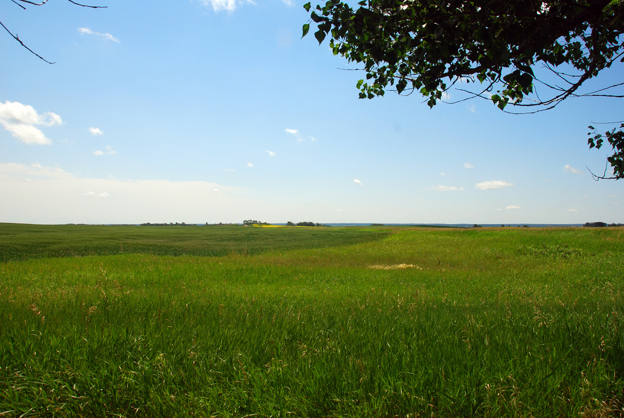 2008-07-16, 075, Park along Rt 3, Manitoba