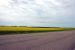 2008-07-16, 069, Canola Oil Fields, Manitoba