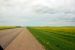 2008-07-16, 070, Canola Oil Fields, Manitoba