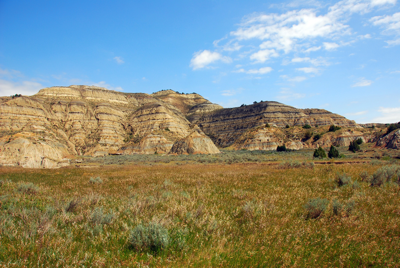 2008-07-17, 125, Theodore Roosevelt National Park, North, North Datoka