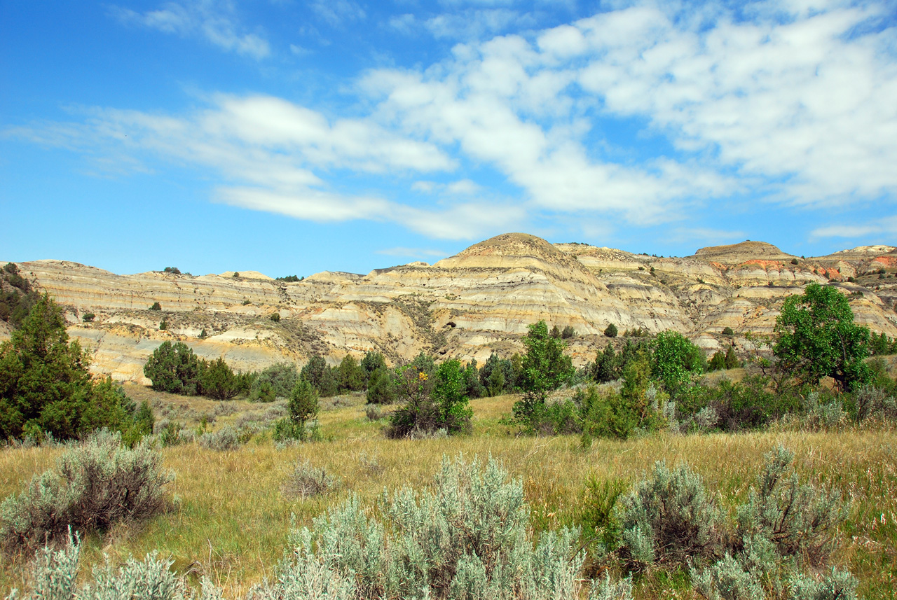 2008-07-17, 138, Theodore Roosevelt National Park, North, North Datoka