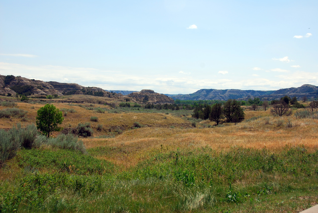 2008-07-17, 146, Theodore Roosevelt National Park, North, North Datoka