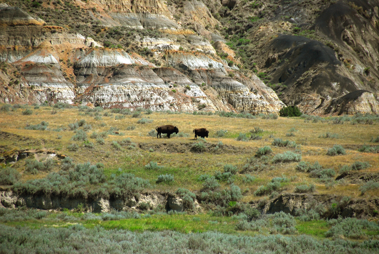 2008-07-17, 147, Theodore Roosevelt National Park, North, North Datoka