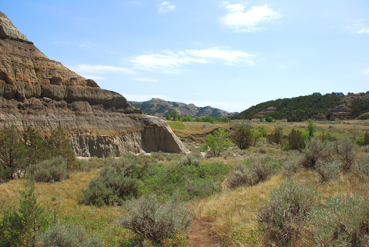 2008-07-17, 152, Theodore Roosevelt National Park, North, North Datoka