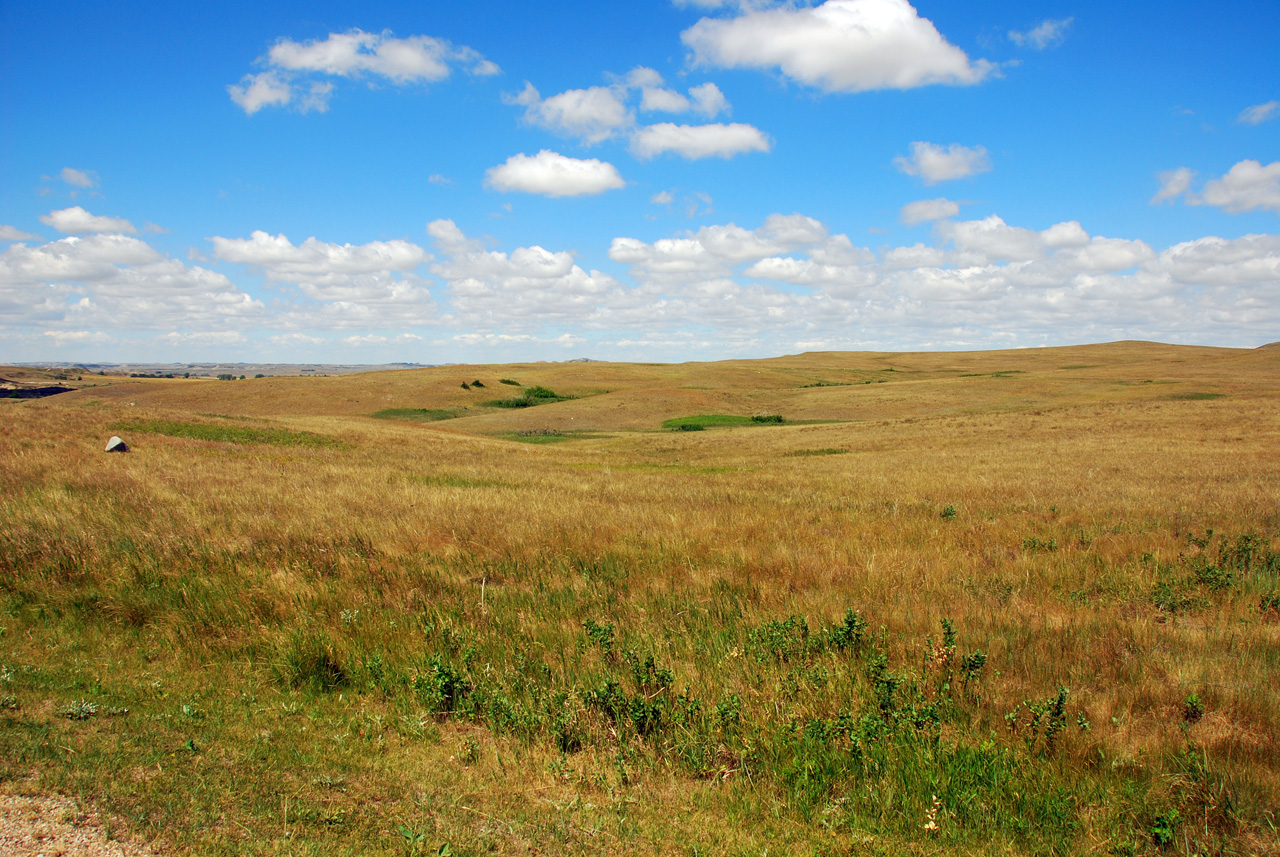 2008-07-17, 166, Theodore Roosevelt National Park, North, North Datoka