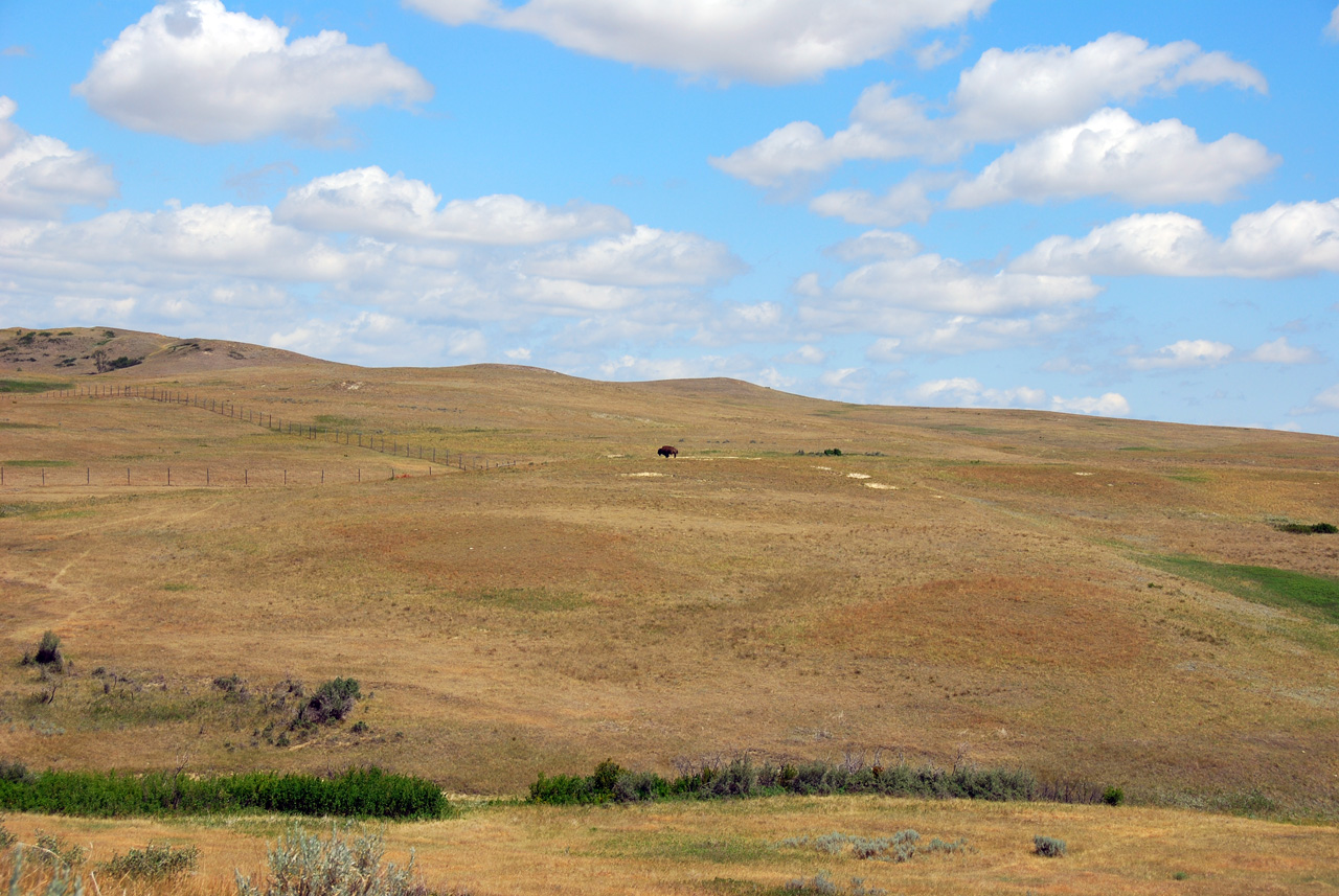 2008-07-17, 178, Theodore Roosevelt National Park, North, North Datoka