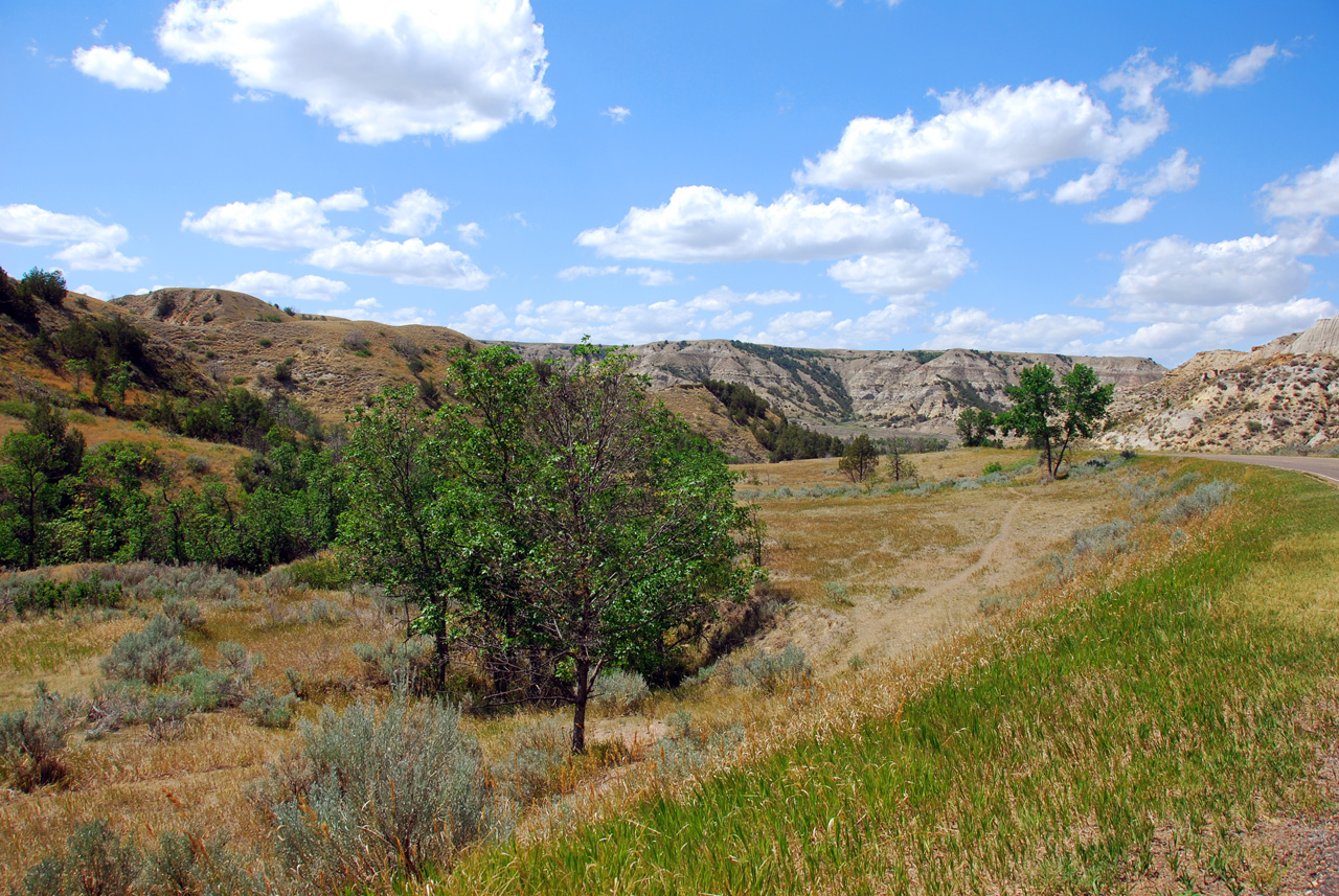 2008-07-17, 190, Theodore Roosevelt National Park, South, North Datoka