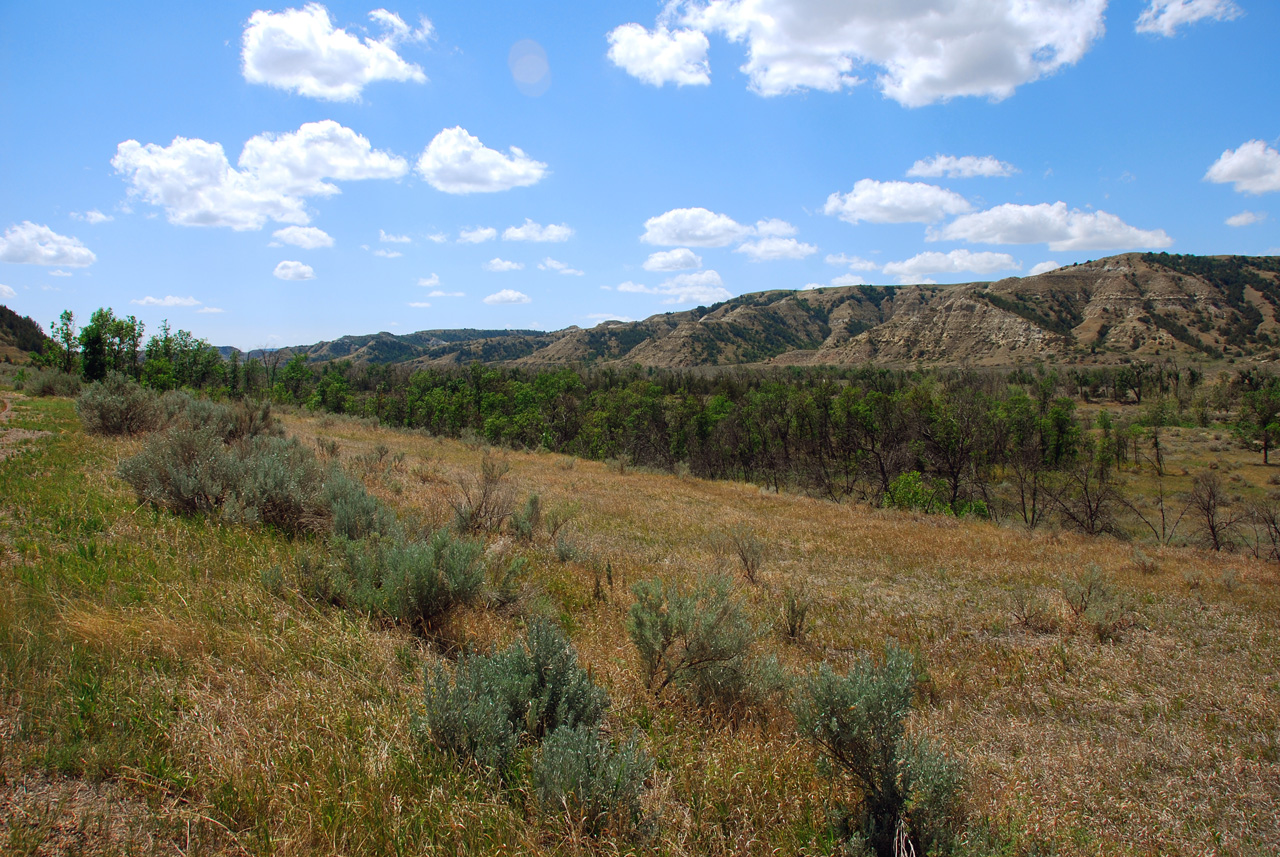 2008-07-17, 193, Theodore Roosevelt National Park, South, North Datoka