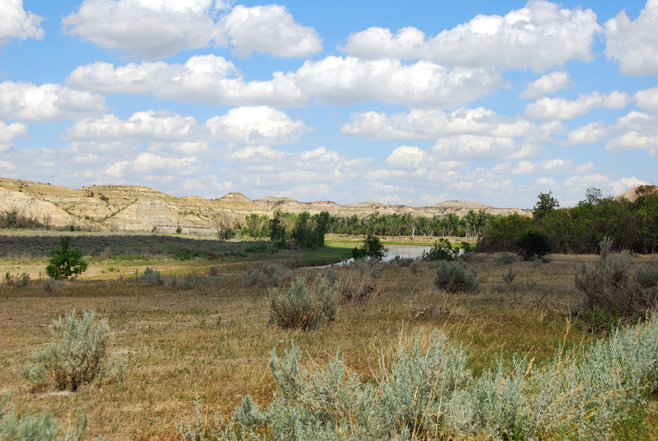 2008-07-17, 194, Theodore Roosevelt National Park, South, North Datoka