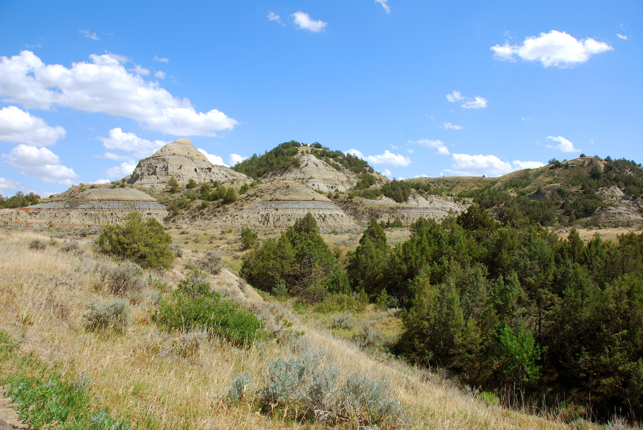 2008-07-17, 195, Theodore Roosevelt National Park, South, North Datoka