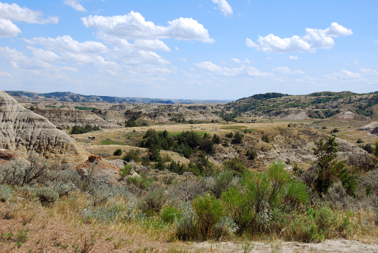 2008-07-17, 196, Theodore Roosevelt National Park, South, North Datoka