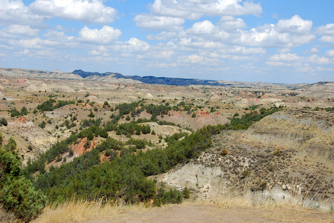 2008-07-17, 198, Theodore Roosevelt National Park, South, North Datoka