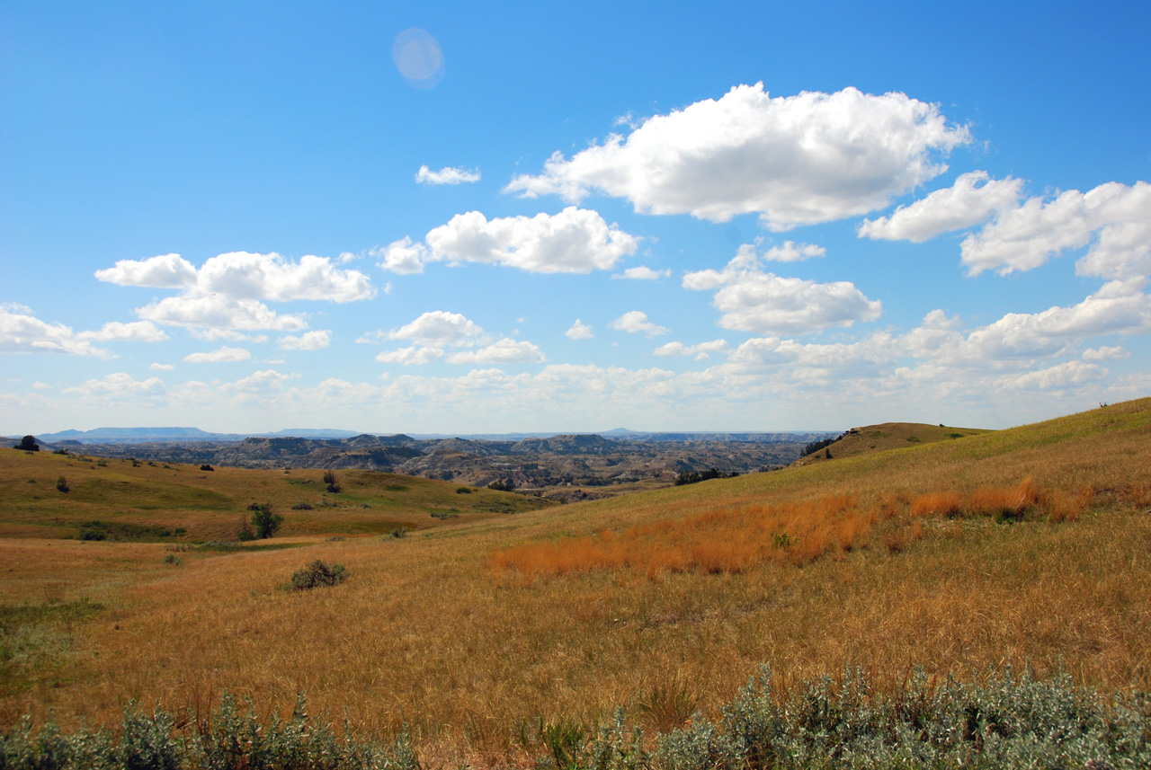 2008-07-17, 204, Theodore Roosevelt National Park, South, North Datoka