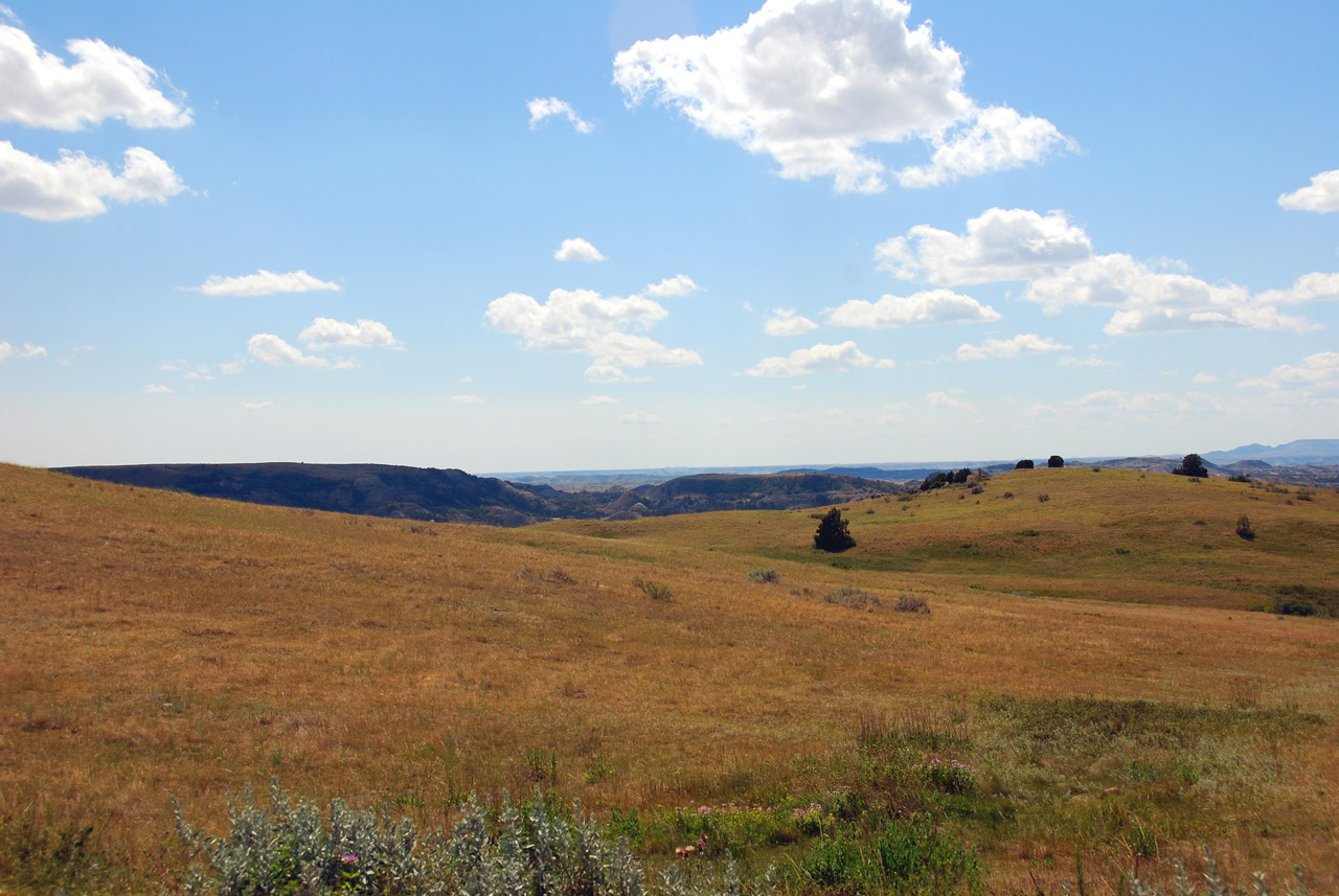 2008-07-17, 205, Theodore Roosevelt National Park, South, North Datoka