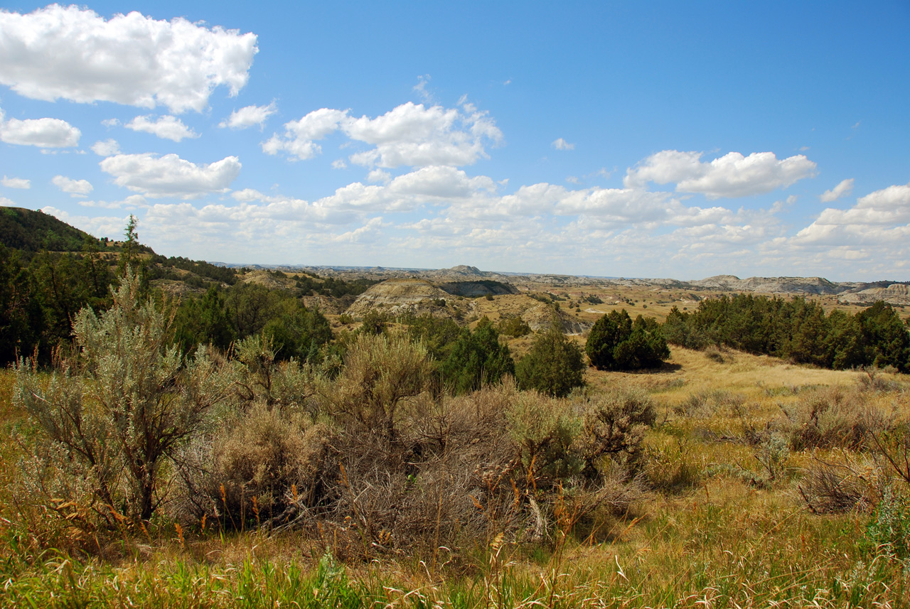 2008-07-17, 207, Theodore Roosevelt National Park, South, North Datoka