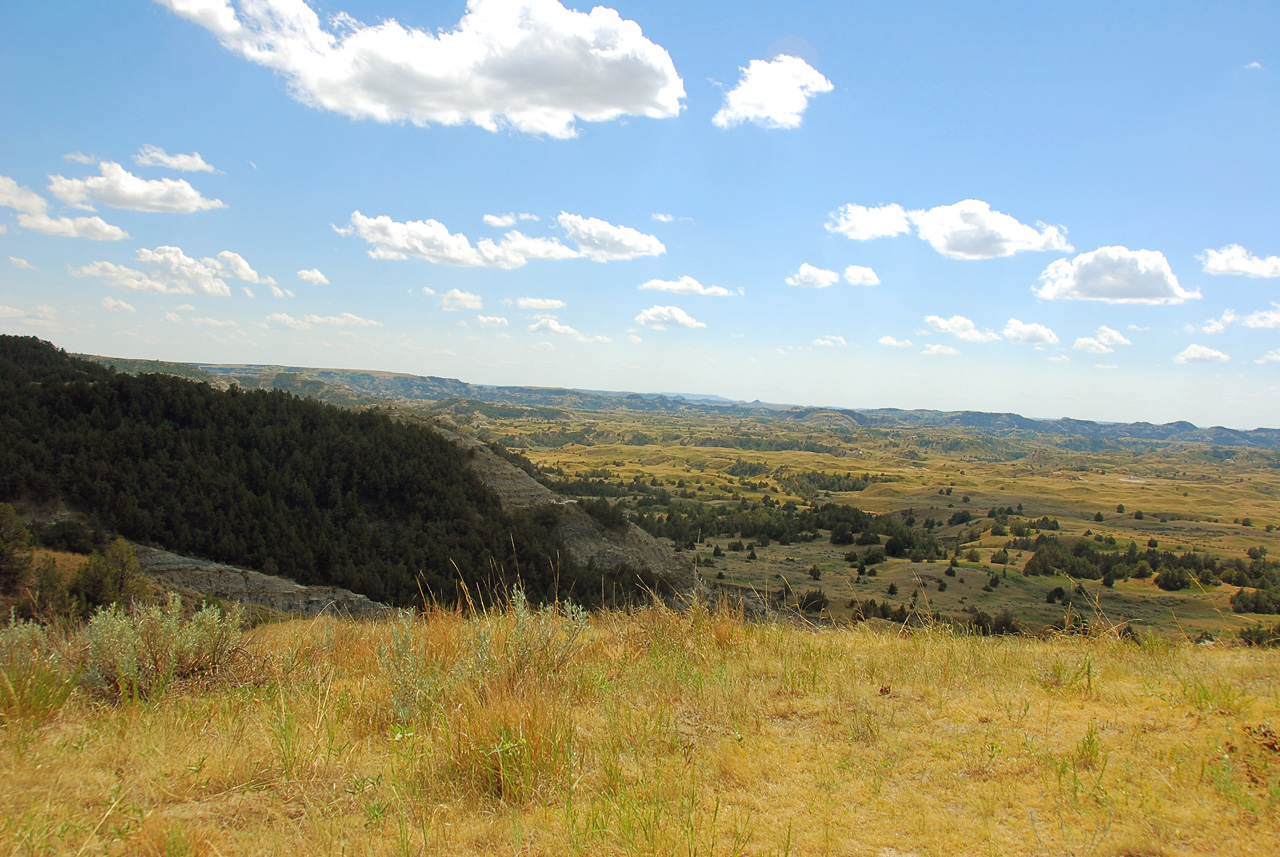 2008-07-17, 210, Theodore Roosevelt National Park, South, North Datoka