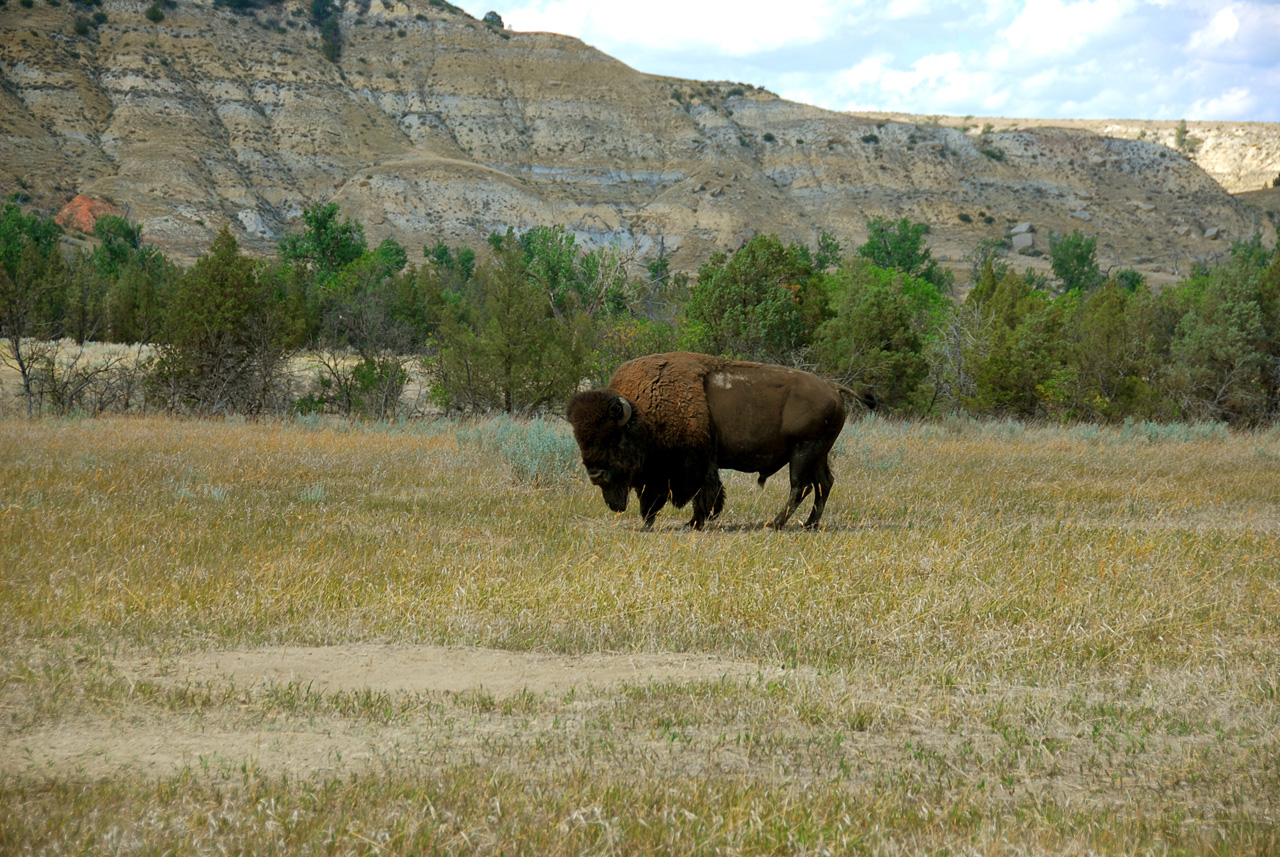 2008-07-17, 217, Theodore Roosevelt National Park, South, North Datoka