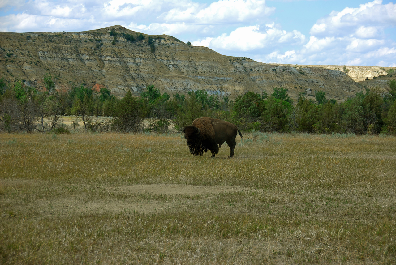 2008-07-17, 218, Theodore Roosevelt National Park, South, North Datoka