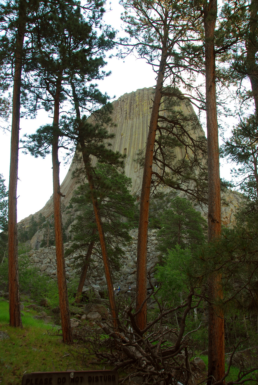 2008-07-19, 329, Devils Tower, Wyoming