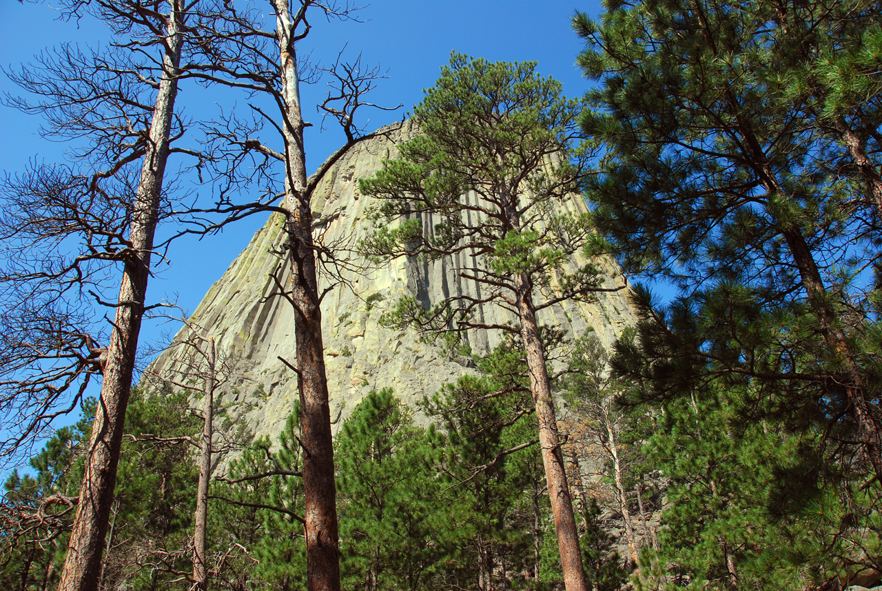 2008-07-19, 363, Devils Tower, Wyoming