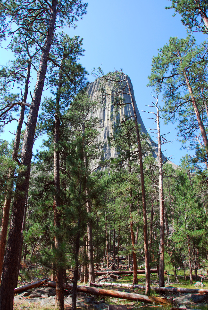 2008-07-19, 365, Devils Tower, Wyoming