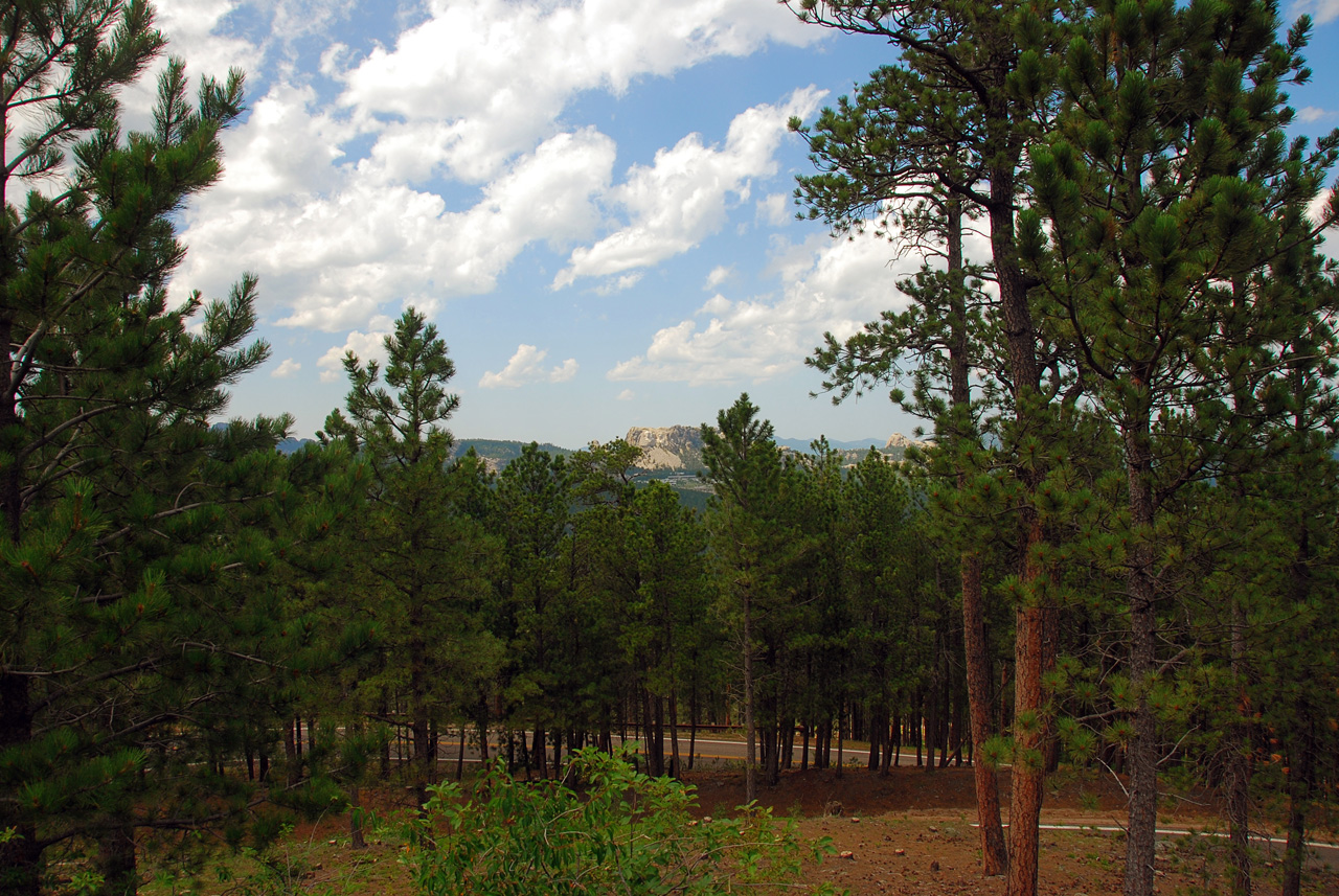 2008-07-19, 382, Mount Rushmore from Custer Park, South Dakota